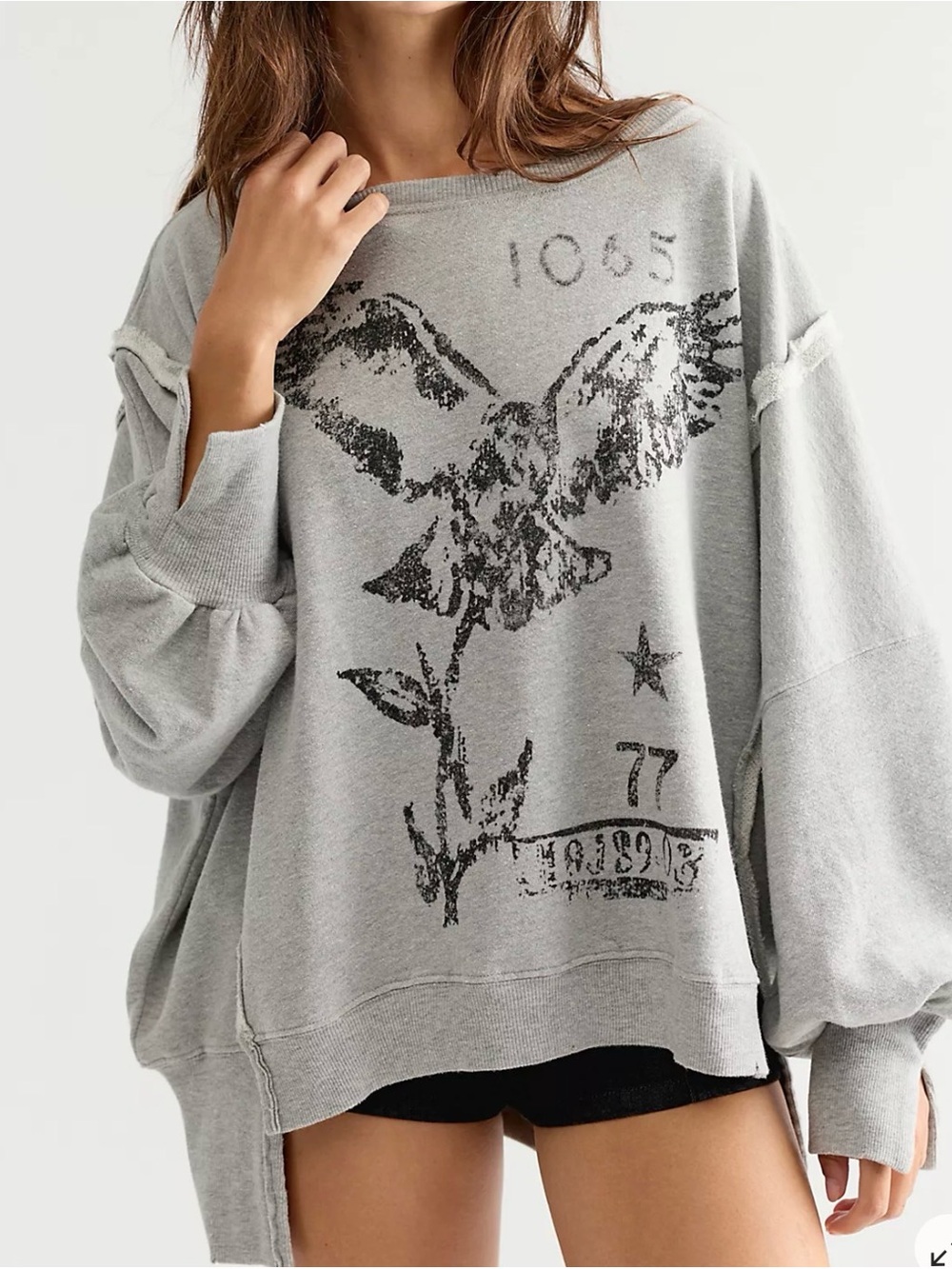 We The Free Graphic Camden Pullover